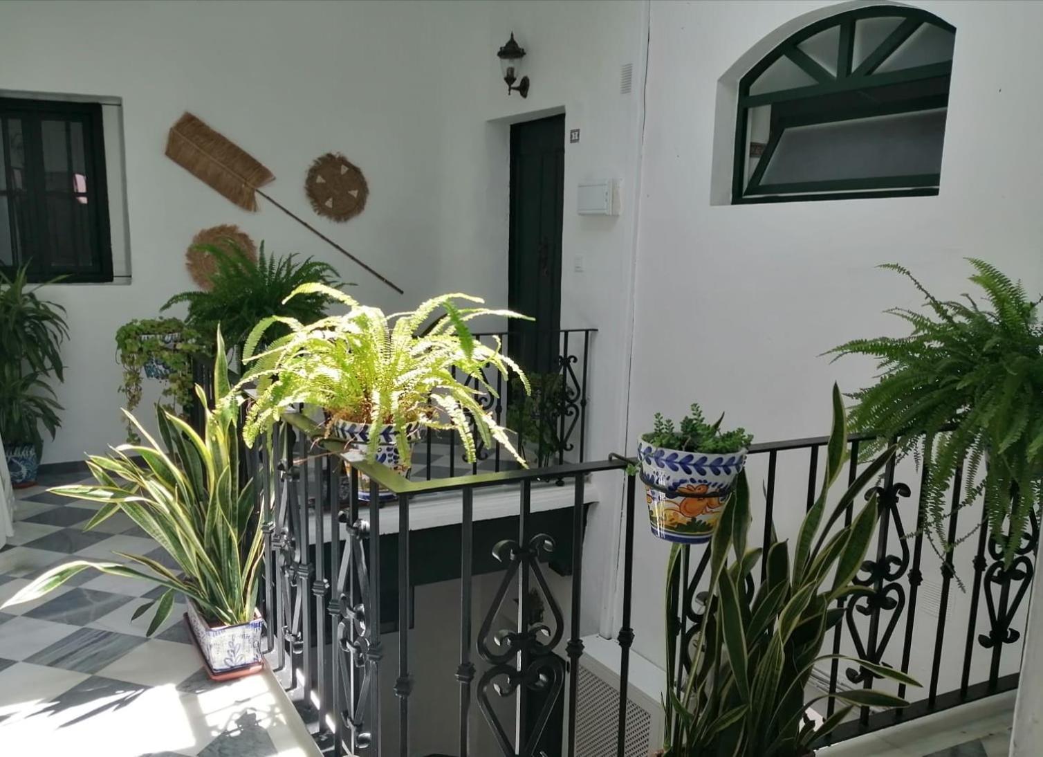 Apartment Ave Maria 7