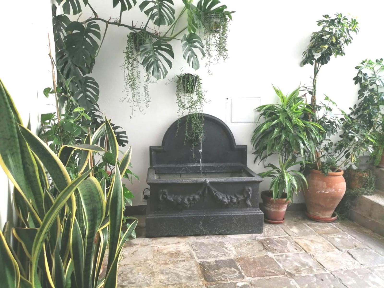 Ave Maria 7 Apartment Tarifa